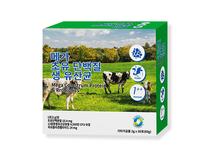 메가초유 단백질 생유산균